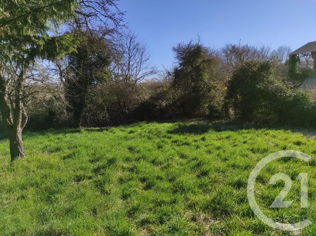 terrain - CHAMPLAT ET BOUJACOURT - 51