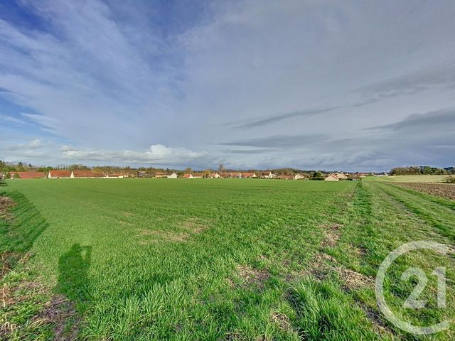 terrain à vendre - 13995.0 m2 - BOULT SUR SUIPPE - 51 - CHAMPAGNE-ARDENNE - Century 21 Espace Conseil