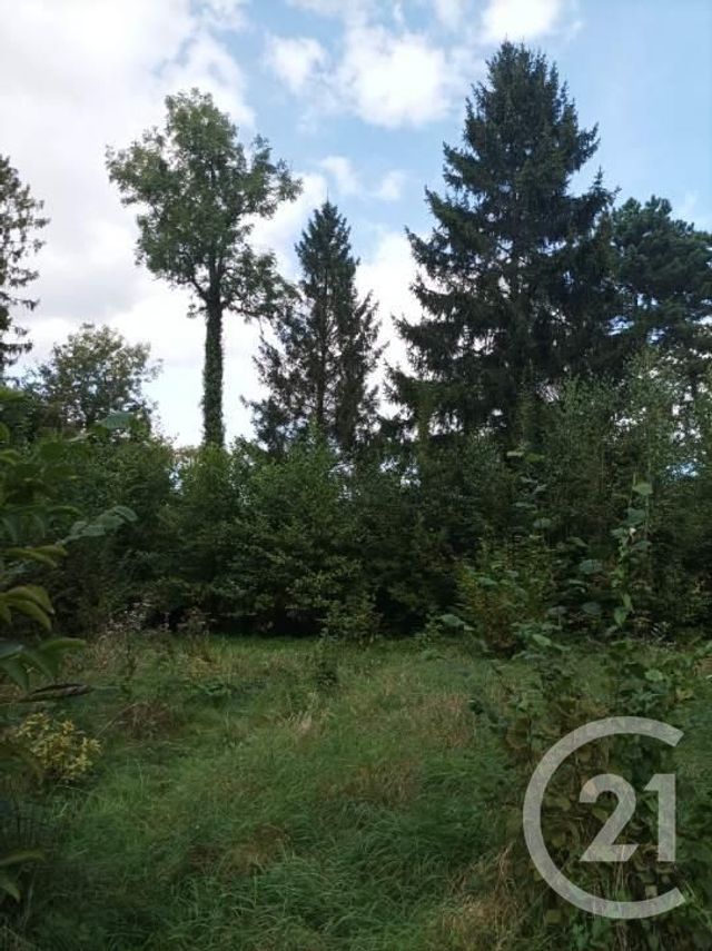 Afficher la photo en grand terrain à vendre - 4900.0 m2 - BOULT SUR SUIPPE - 51 - CHAMPAGNE-ARDENNE - Century 21 Espace Conseil
