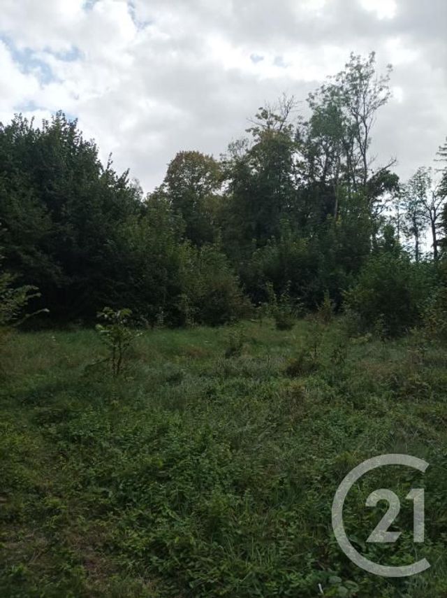 Afficher la photo en grand terrain à vendre - 4900.0 m2 - BOULT SUR SUIPPE - 51 - CHAMPAGNE-ARDENNE - Century 21 Espace Conseil