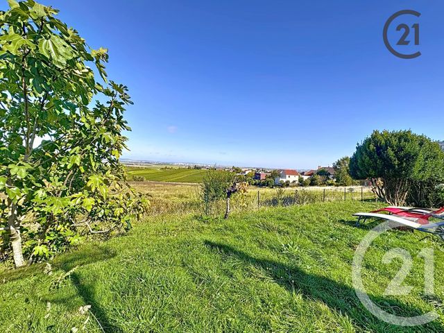 maison à vendre - 9 pièces - 209.91 m2 - VILLERS ALLERAND - 51 - CHAMPAGNE-ARDENNE - Century 21 Espace Conseil