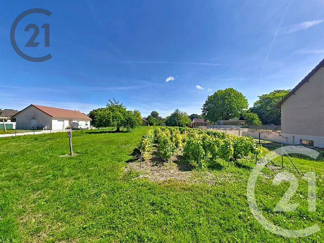 terrain - SOMMESOUS - 51